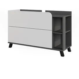 Vicco Waschbeckenunterschrank Karen 2 Schubladen 100 x 65 x 35 cm Anthrazit/Weiß