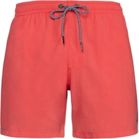 PROTEST DAVEY Herren-Badeshorts S