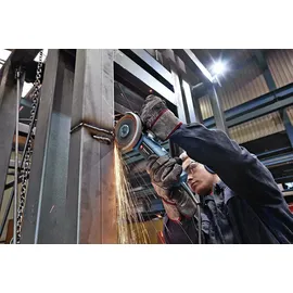 Bosch GWS 9-125 S Professional 0601396104
