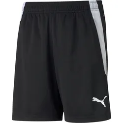 PUMA teamLIGA Training Shorts J - 140