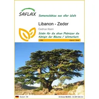 SAFLAX - Libanon - Zeder - Cedrus libani