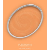 A.S. Création - Wandfarbe Orange "Pure Papaya" 5L