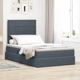 vidaXL Bett mit Stauraum und LED mit LED Dunkelgrau 120 x 190 cm Samt