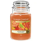 Yankee Candle Autumn Leaves große Kerze 623 g