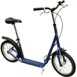 Sport-Thieme Maxi Blau