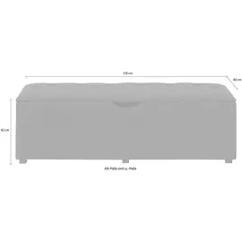 Home Affaire Truhenbank Knobbed Grau 120 x 42 x 40 cm