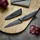 Echtwerk Edelstahl Schälmesser 9 cm Schwarz