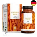 Weihrauch Kurkuma Ingwer Kapseln Hochdosiert - 196,1 mg Boswelliasäure, 133,3