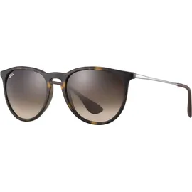 Ray-Ban Erika Color Mix Rb4171