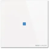 Busch-Jaeger Touch-Bedienelement TB/U1.1.11-CG