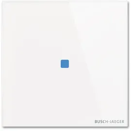 Busch-Jaeger Touch-Bedienelement TB/U1.1.11-CG