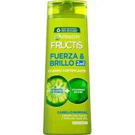Garnier Fructis Stärke Und Glanz 2 In 1 Shampoo 360 ml