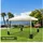 Outsunny Pavillon Standfuß 4 Stück 0,14 x 0,42 x 0,14 m Schwarz
