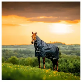 Horseware Pferde-Regendecke Horseware Amigo Ripstop 900D Plus Pony Turnout 0g 100 cm / 5'0 cm