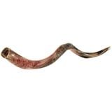 Schofar Shofar Kosher Yemenite Horn Polished Natural Showfar Schofar Antelope Yom kippur Gift blowing instrument koscher Hupe