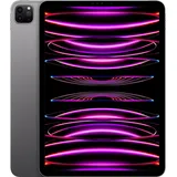 256 GB Wi-Fi space grau