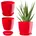 aus Kunststoff rund 20 cm Rot