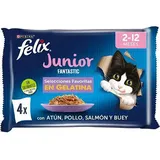 Purina Felix Fantastic Junior Grill Gelee 4x85g Katzen Snack 12 Einheiten - Multicolor - One Size