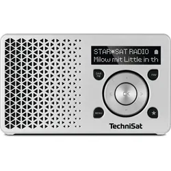 TechniSat DigitRadio 1 Tragbar Digital Silber