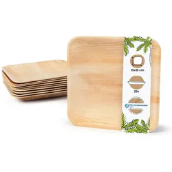 BIOZOYG 25 Stück Einwegteller 15x15cm Palmblatt-Teller, quadratisch, biologisch abbaubar, umweltfreundlich, kompostierbar, Wegwerfteller
