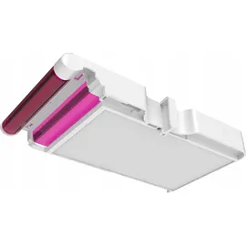 AgfaPhoto Realipix Mini S rot