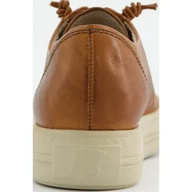 Paul Green 4081 cognac 39