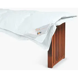 RIBECO "Laram, Bettdecken für Sommer oder Winter, Made in Germany, weiß, B:135cm L:200cm, Bezug: 100% Baumwolle. Füllung: Federn, 10% Daunen, Bettdecken, Super Preis-Leistung, Bettdecke 135x200 cm oder 155x220 cm, Decke