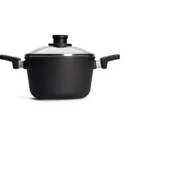 WOLL nowo Titanium Gusstopf 20 cm