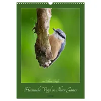 Calvendo Heimische Vögel in Ihren Gärten (Wandkalender 2026 DIN