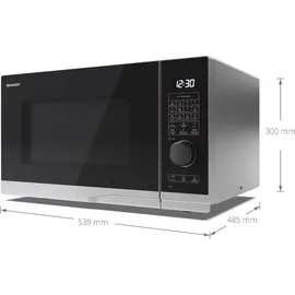 Sharp YC-PC284AE-S Silber/Schwarz