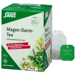 Salus Magen-Darm-Tee Nr.20a bio (15Btl)