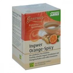 Ingwer Orange Spicy Tee Salus