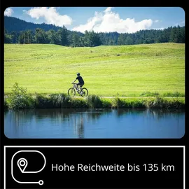 remington-fahrrad XR01 29 Zoll RH 50 cm beige