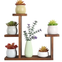 Holz-Desktop-Pflanzenständer Indoor Kleines Blumenregal Home Office Tabletop-Pflanzenregal-Halter-Display-Rack für saftige Kräuter (5-Tier,Wood)