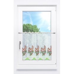Scheibengardine Plauener Spitze - Eichhörnchen " (Bx H) 144cm * 55cm" Braun/Braun