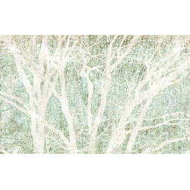 KOMAR Vliestapete grün weiß) - 400x250 cm x 250 cm