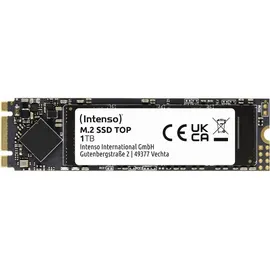 Intenso Top Performance 1 TB M.2