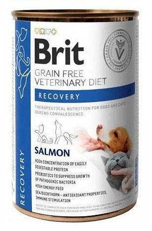 BRIT Veterinary Diet Recovery Salmon 24x400 g