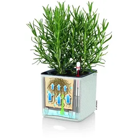 LECHUZA Cube Color Komplettset 14 x 14 x 14 cm weiß