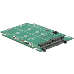 DeLOCK Converter 22 pin > M.2 NGFF - Speicher-Controller