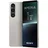 12 GB RAM 256 GB Platinsilber