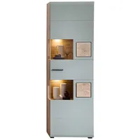 Lomadox - Vitrine mit Beleuchtung, Eiche mit Schilfgrün, FARO-36-REED