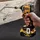 DeWalt DCD800 und DCF850 inkl. 2 x 5,0 Ah + Lader in TSTAK