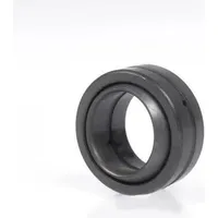 INA Radial-Gelenklager GE120 -DO-2RS