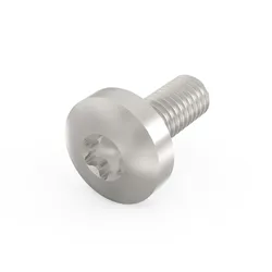 SCHROFF Linsenkopfschraube mit Torx - TORX-LINSKOSCHR M4X10 100ST