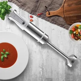 Ardes ARMIX02 Professioneller Stabmixer NEO Professional