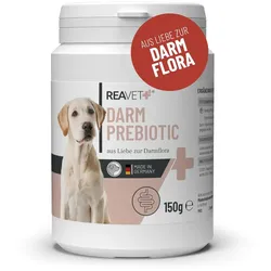 Darm Prebiotic - ReaVET Pulver 150 g