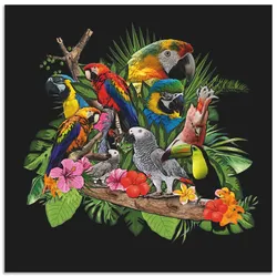 Wandbild ARTLAND "Papageien Graupapagei Kakadu Dschungel", bunt (farbe bild(er): bunt), B:50cm H:50cm, Bilder, als Alubild, Outdoorbild, Leinwandbild, Poster, Wandaufkleber