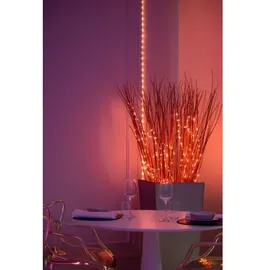 Twinkly Lichterkette Dots 3 m Schwarz