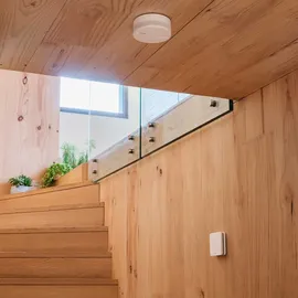 Netatmo Smarter Kohlenmonoxidmelder Weiß